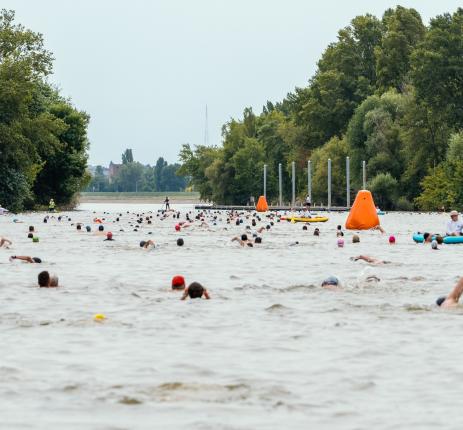 MOL Campus Bay Swimming