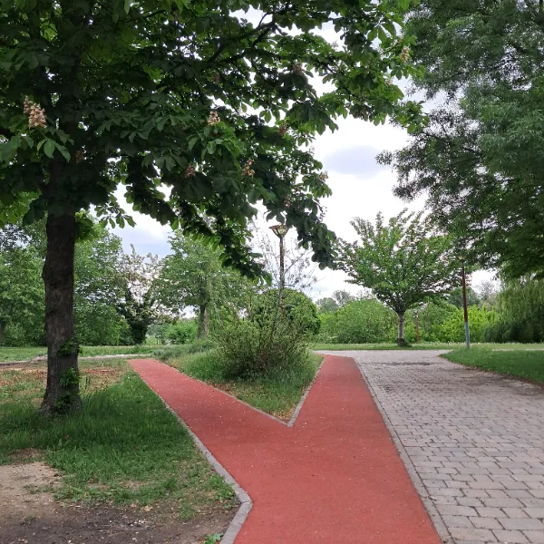 Fuss a Duna mellett: ünnepeld a Futás Világnapját a BudaPart megújult futópályáján