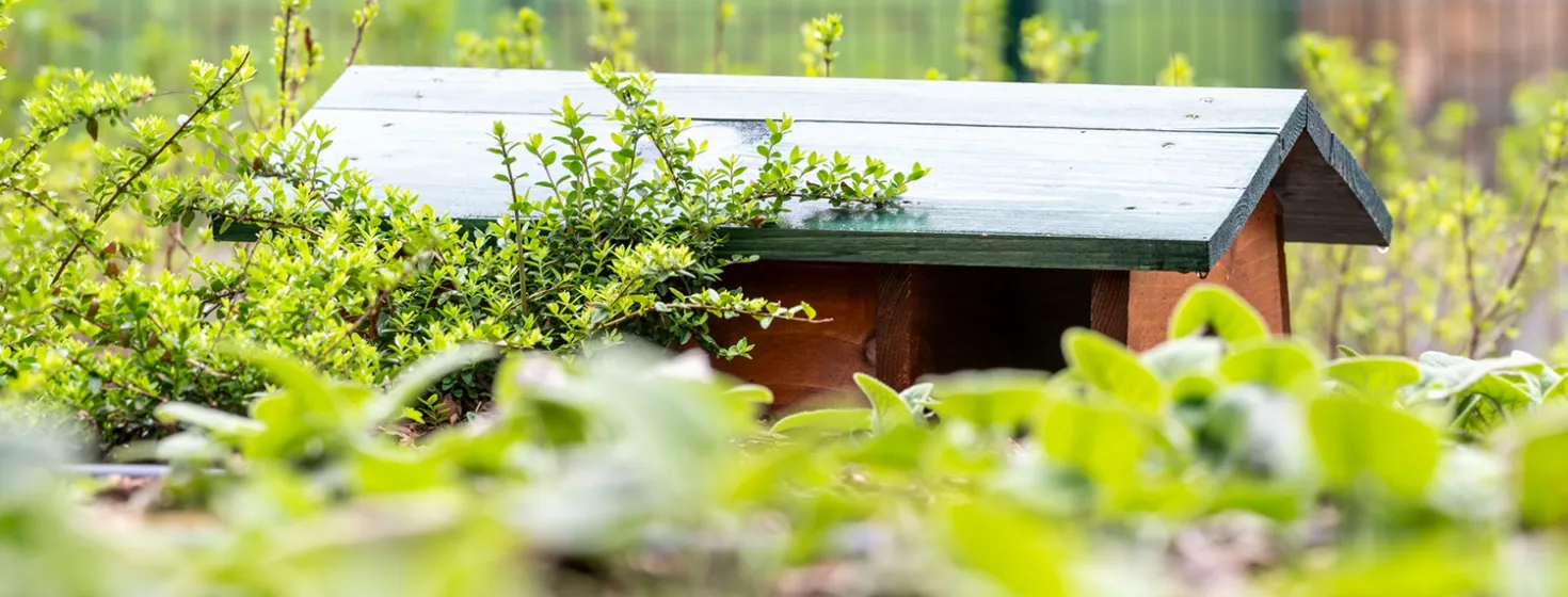 Zöldfelületi Tanúsítvány a BudaPart Harbor számára 