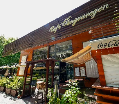 Café Ponyvaregény